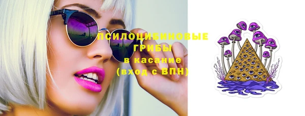 таблы Краснослободск