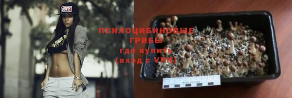 таблы Краснослободск