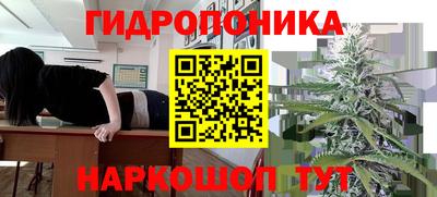 герыч Камышлов