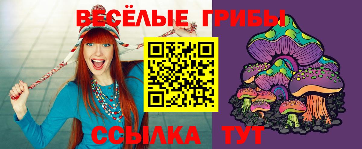 цены наркотик  Галлюциногенные грибы ЛСД  Вход с VPN  Новошахтинск 
