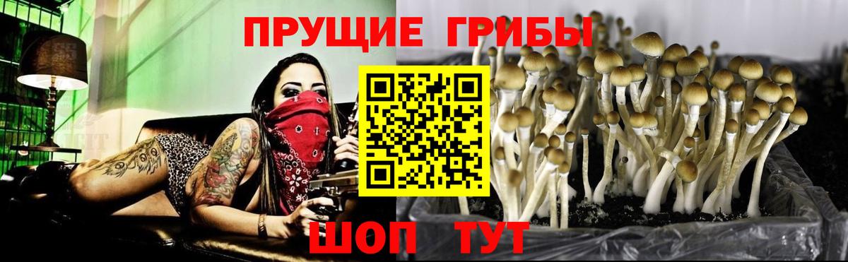 Псилоцибиновые грибы MAGIC MUSHROOMS  Новошахтинск 