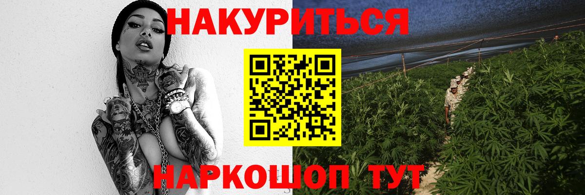 Бошки марихуана планчик  Бошки марихуана семена  Новошахтинск  Шишки марихуана MAZAR 